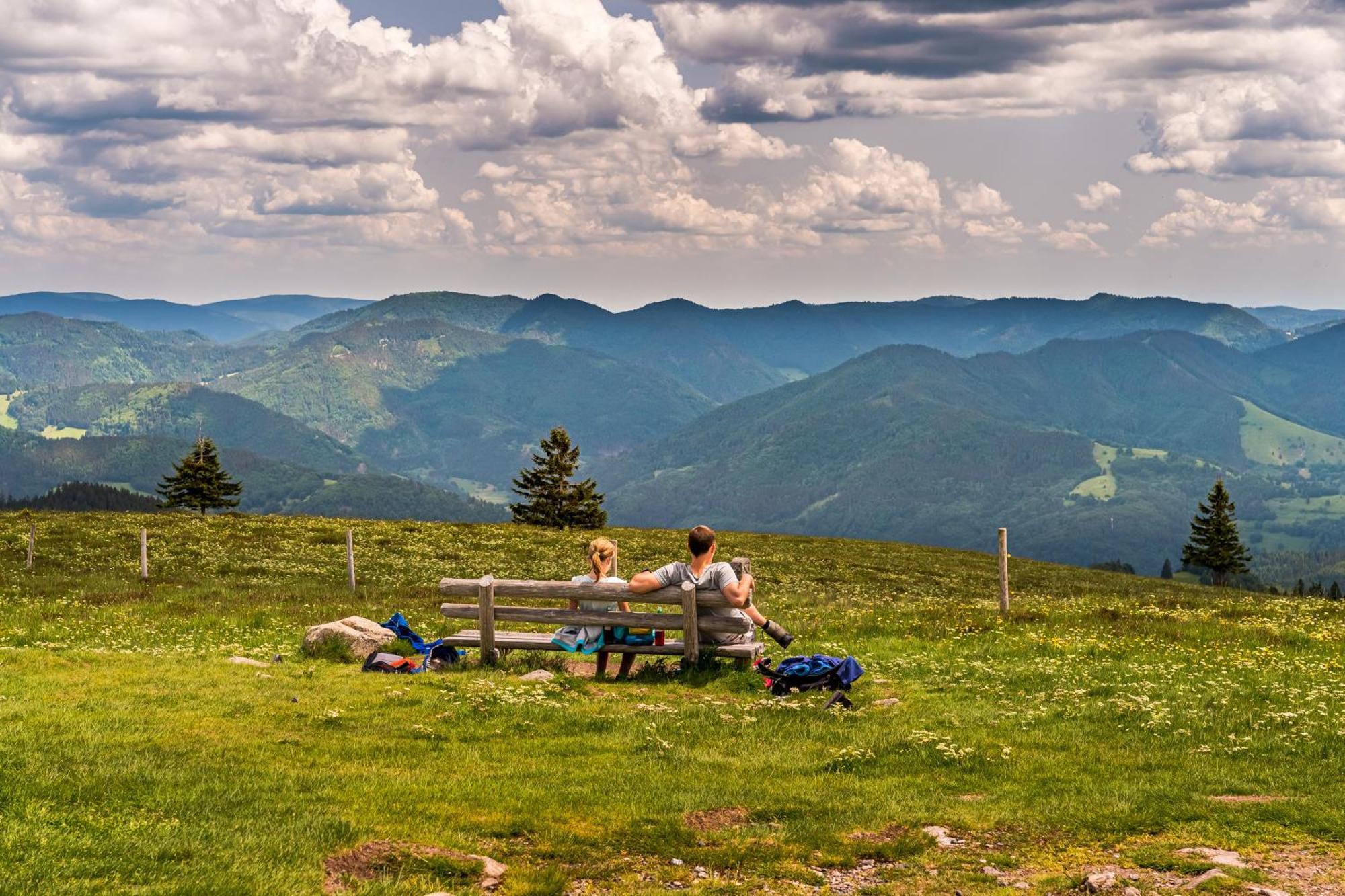 Apartmán Schwarzwaldliebe Frohnd Exteriér fotografie