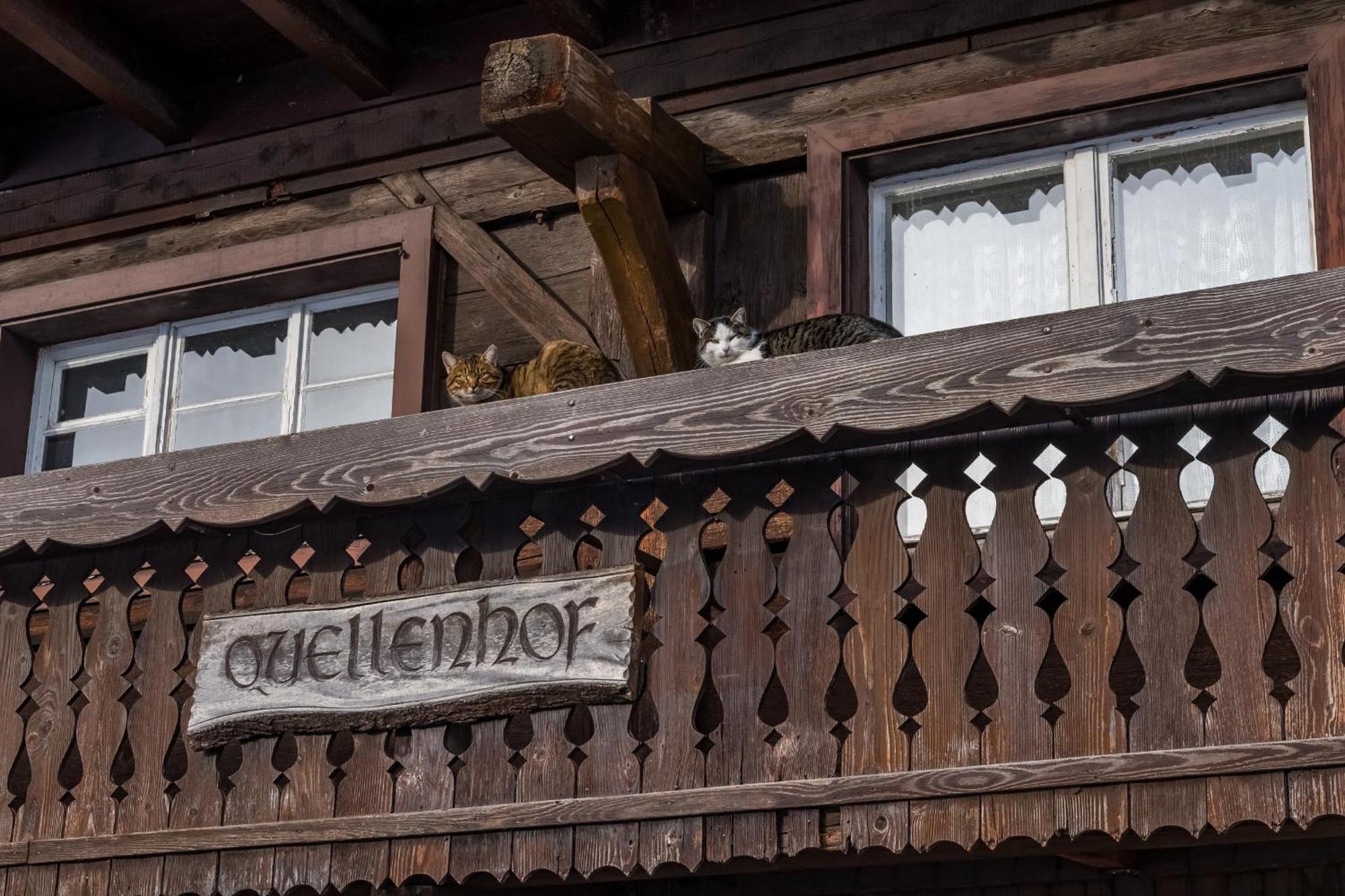 Apartmán Schwarzwaldliebe Frohnd Exteriér fotografie