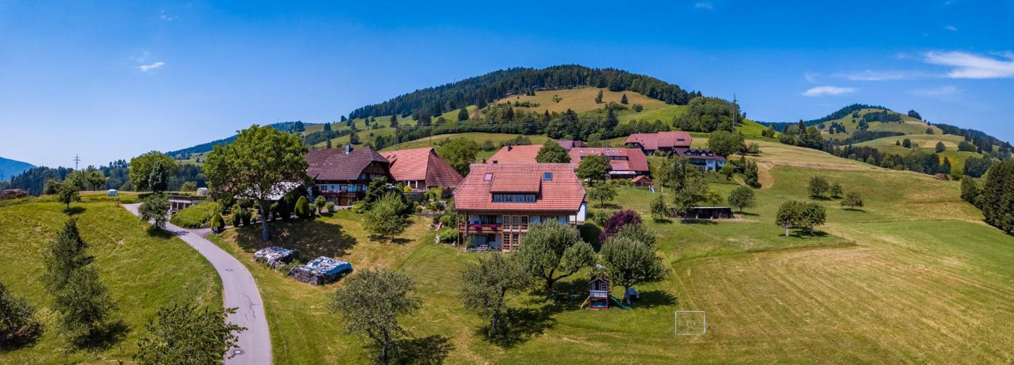 Apartmán Schwarzwaldliebe Frohnd Exteriér fotografie