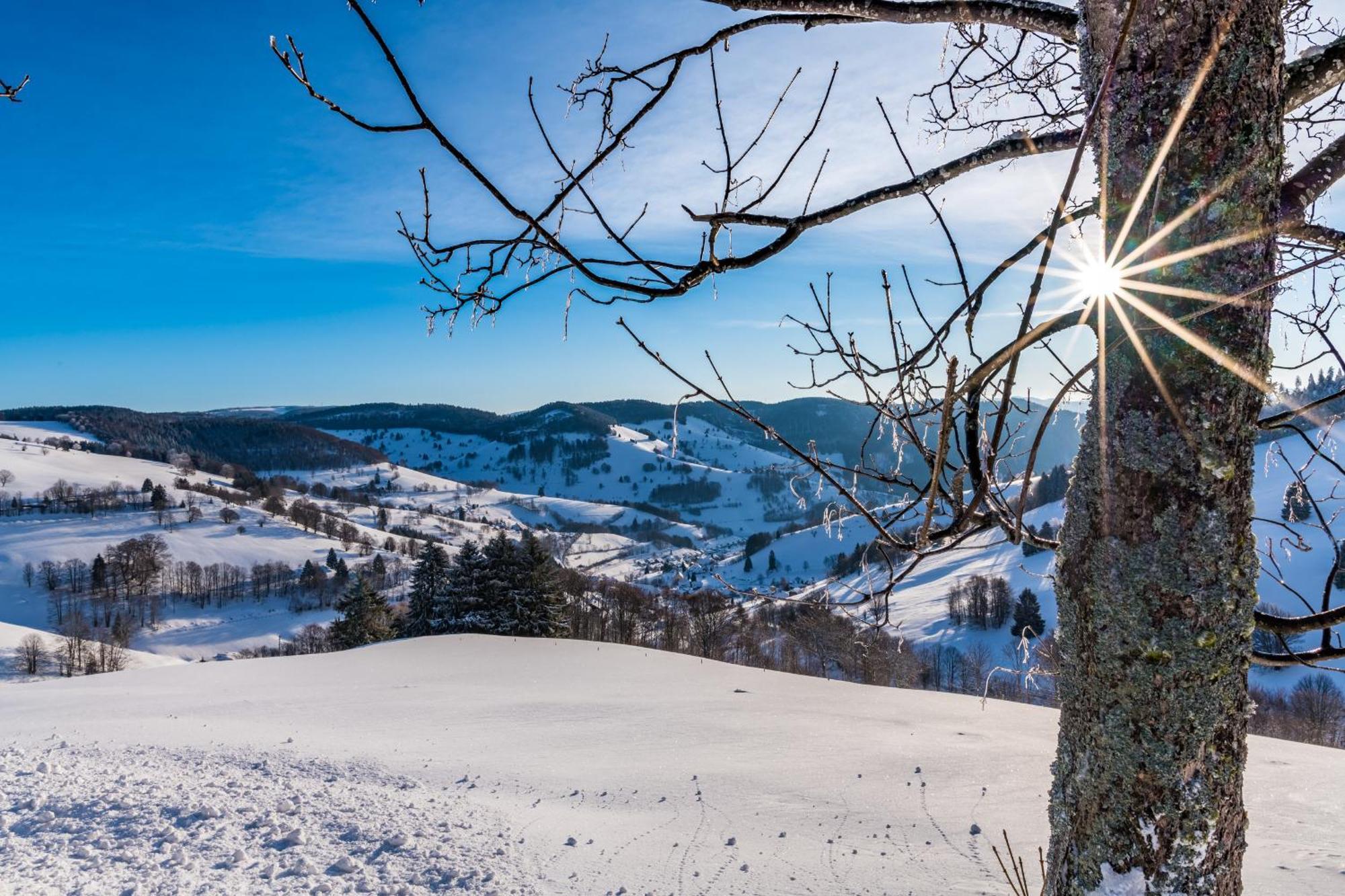 Apartmán Schwarzwaldliebe Frohnd Exteriér fotografie