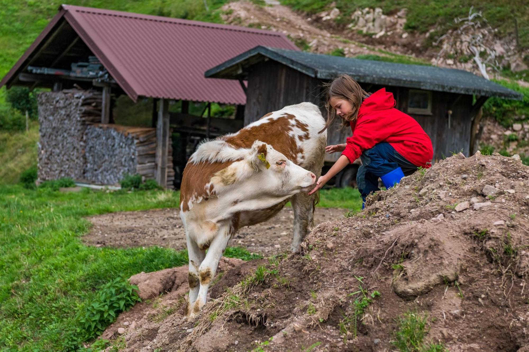 Apartmán Schwarzwaldliebe Frohnd Exteriér fotografie